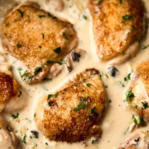 Creamy french chicken stew, close up in a pan with a wooden spoon.