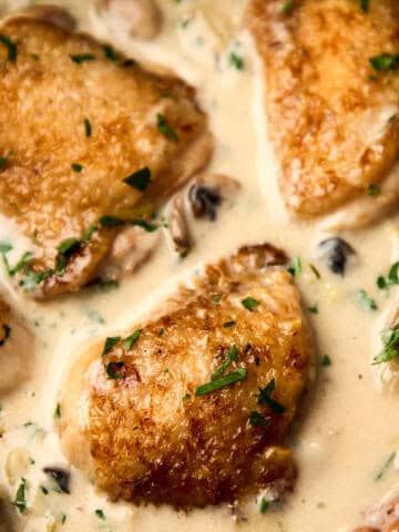 Creamy french chicken stew, close up in a pan with a wooden spoon.