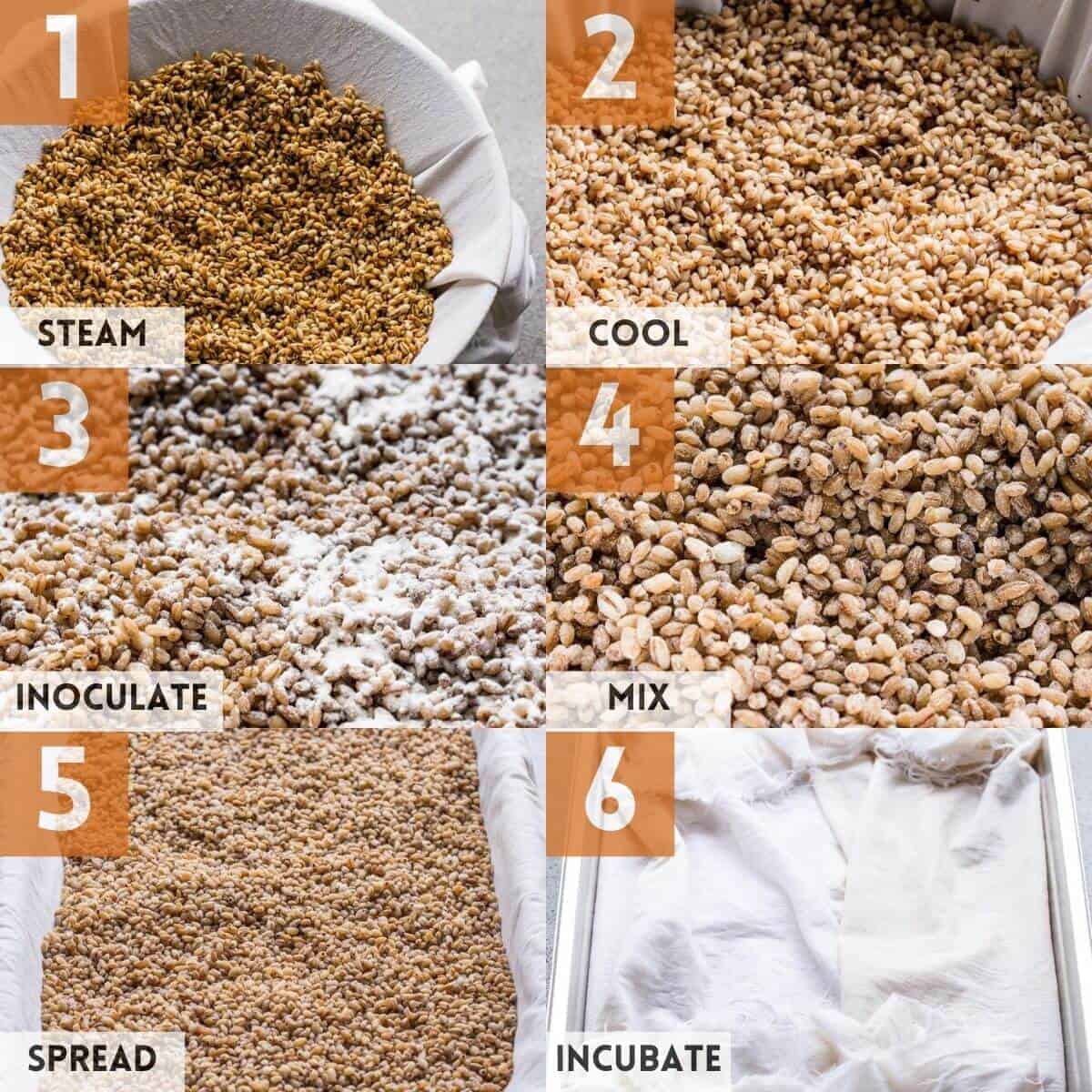 6 steps how to make koji.