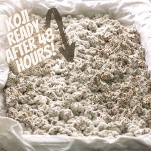 How To Make Koji (Video) | Complete Guide