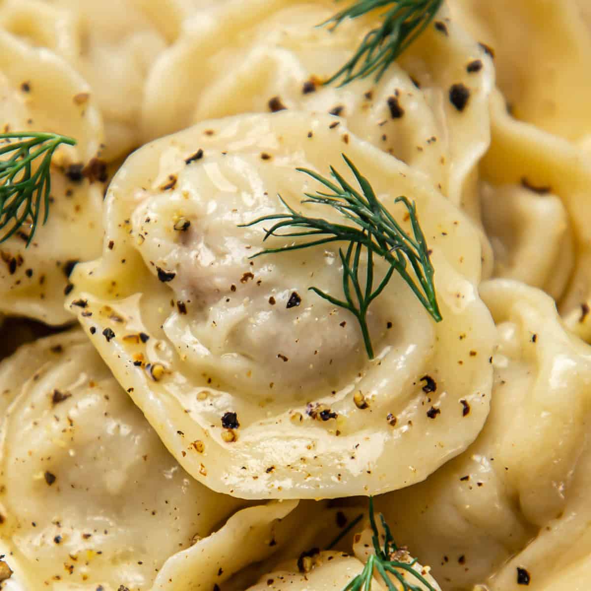 Russian pelmeni with in a white ceramic bowl.