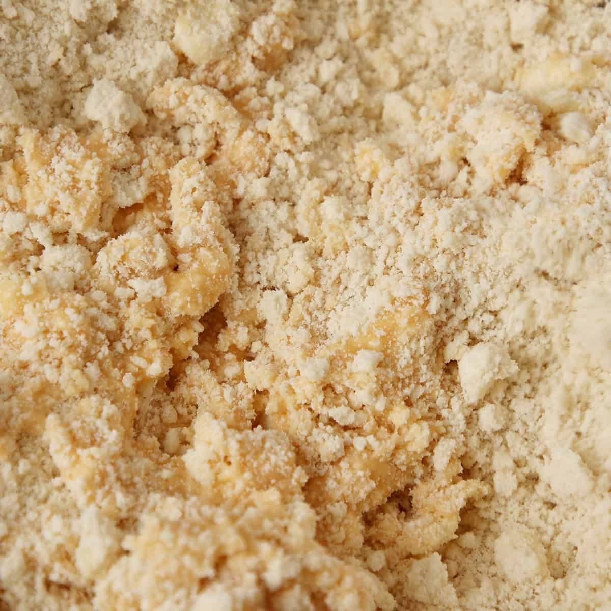 Flour and butter rubbed to a loose, sandy crumb for shortcrust pastry.