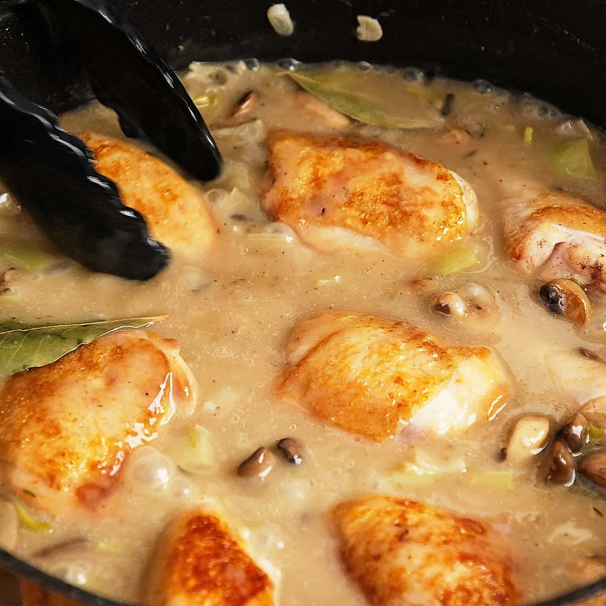Adding seared chicken to velouté in a pan.