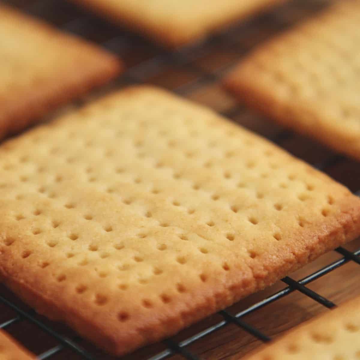 Baked golden tennis biscuits cooling on a wire rack, showing crisp texture and dark golden edges with caramelized corners