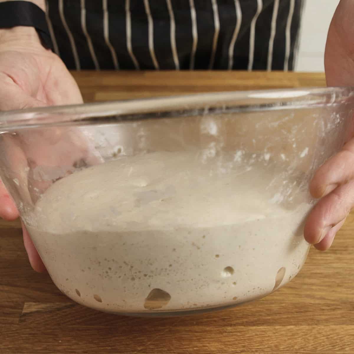 Sourdough proven to 75 percent in a clear glass bowl.