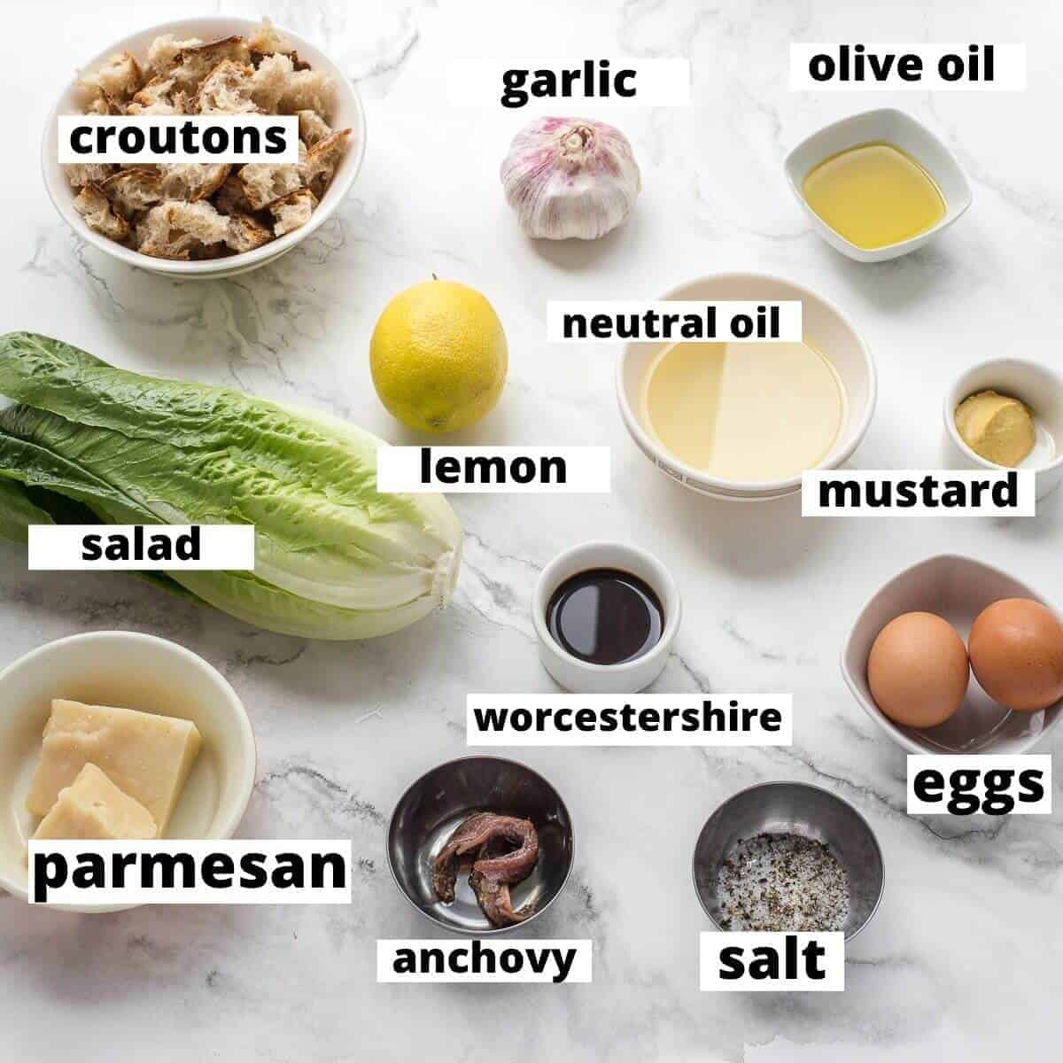 ingredients for caesar salad on a marble background