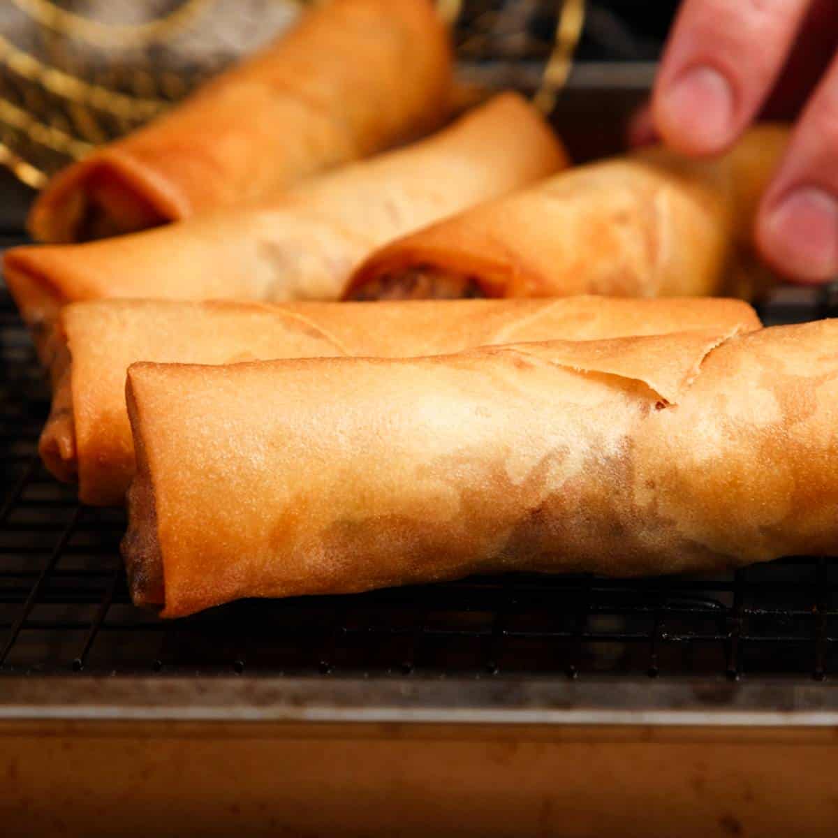 Fried spring rolls on a wire rack.