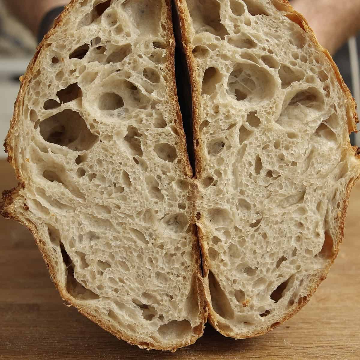 Crumb shot of sourdough loaf cut open.