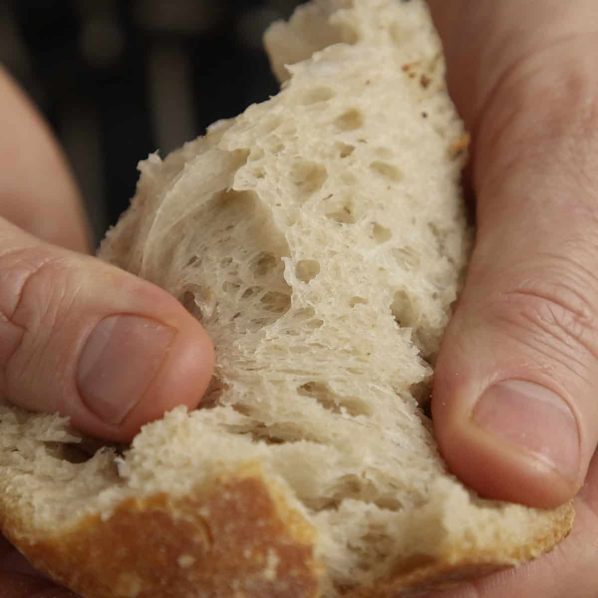 Close up crumb structure revealed by tearing a slice of sourdough bread.