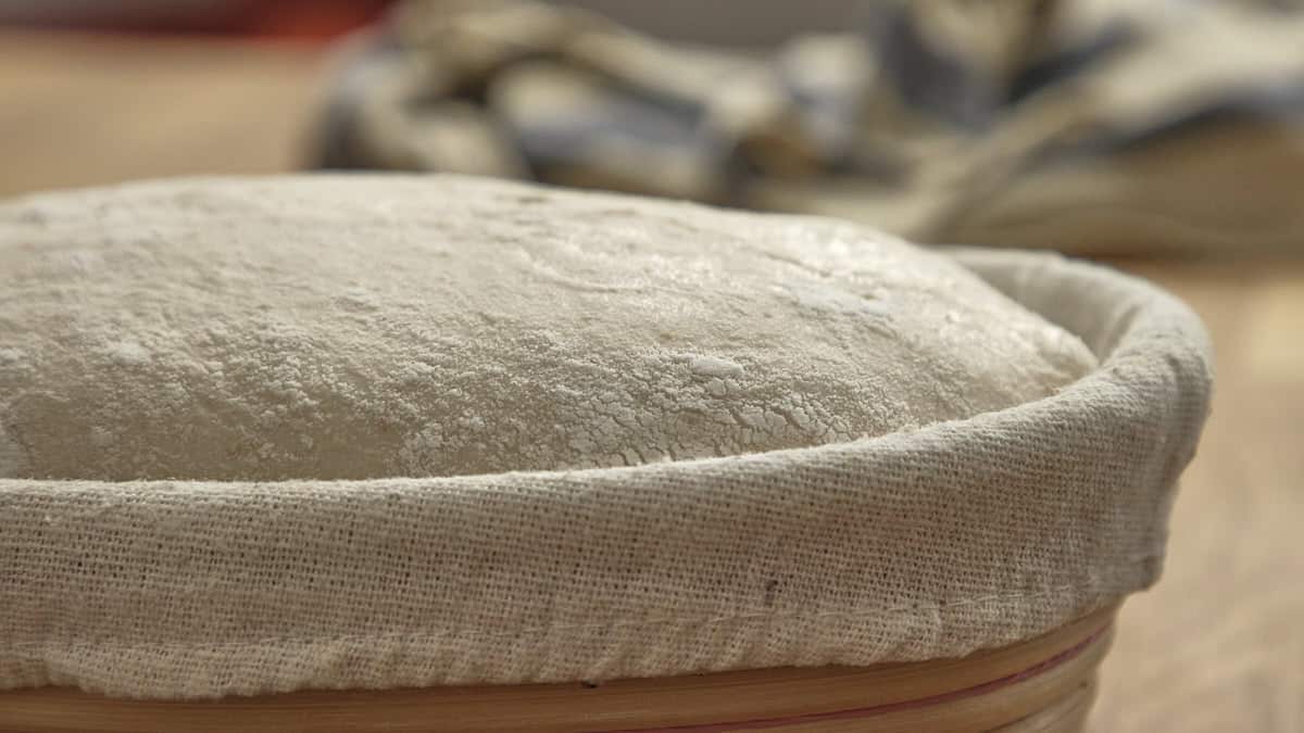 Domed surface of properly proven sourdough bread in a banneton proving basket.
