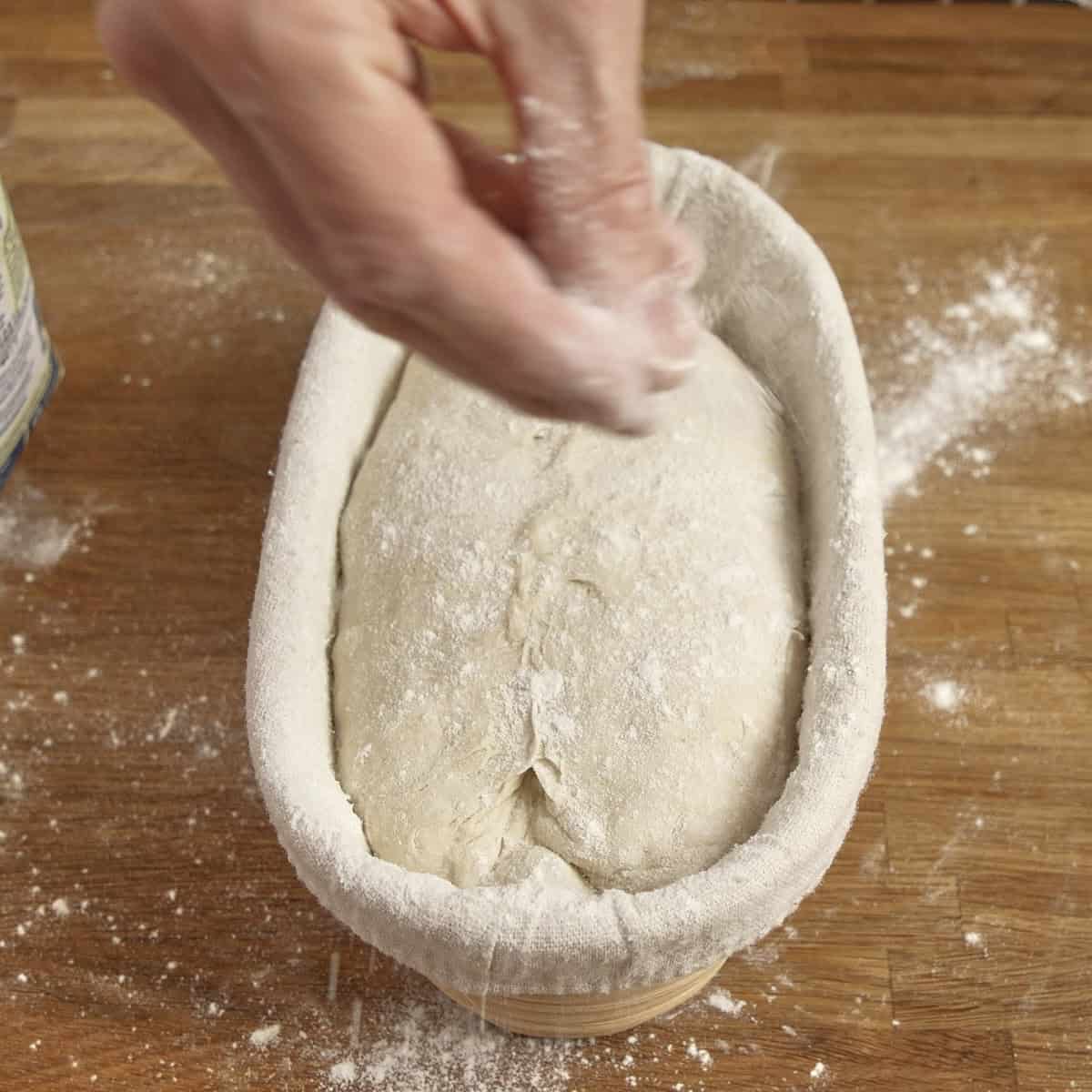 Flouring the top of a shaped dough in a bread banneton.