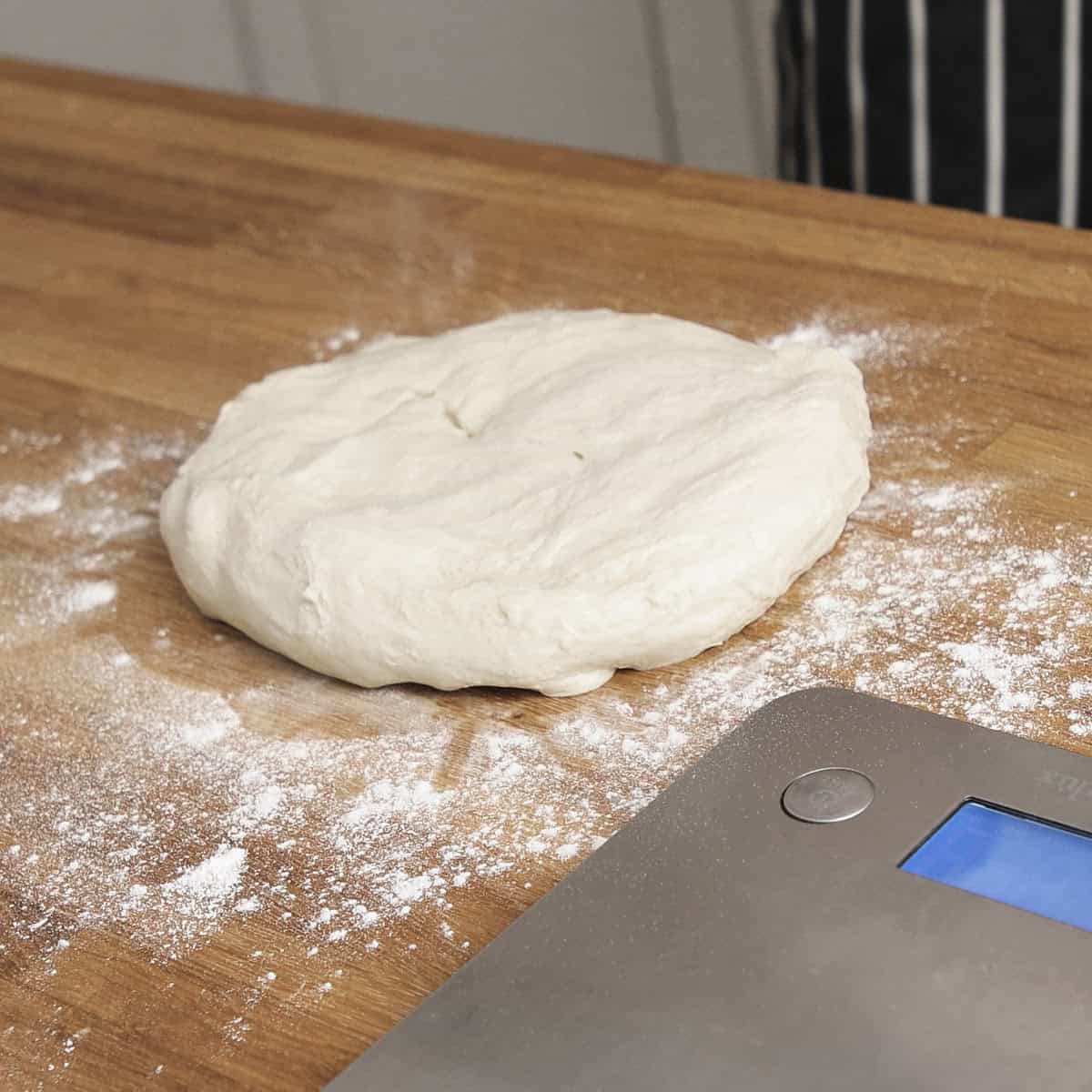 Naan dough before dividing into equal pieces.