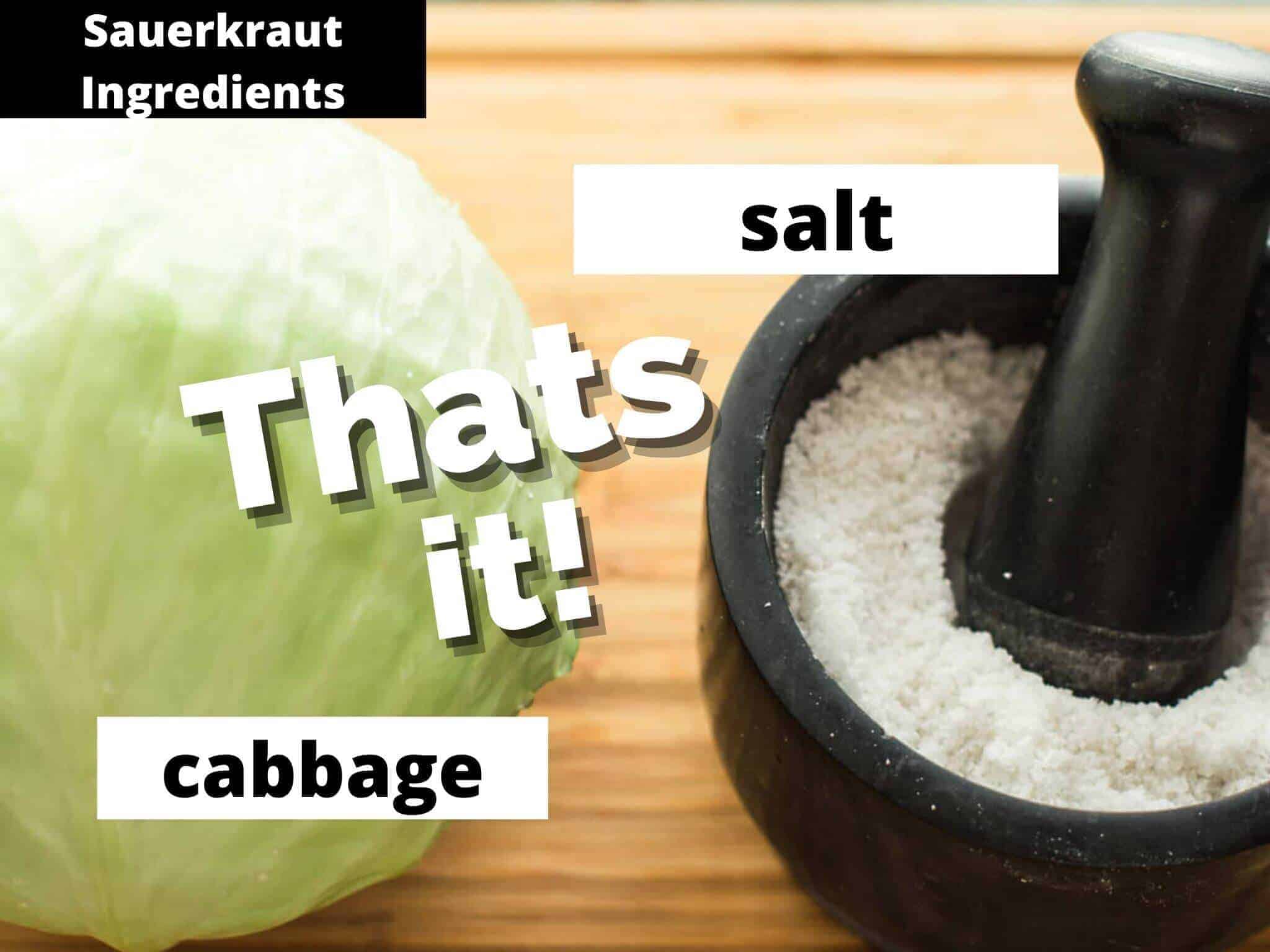 cabbage and salt on wooden board