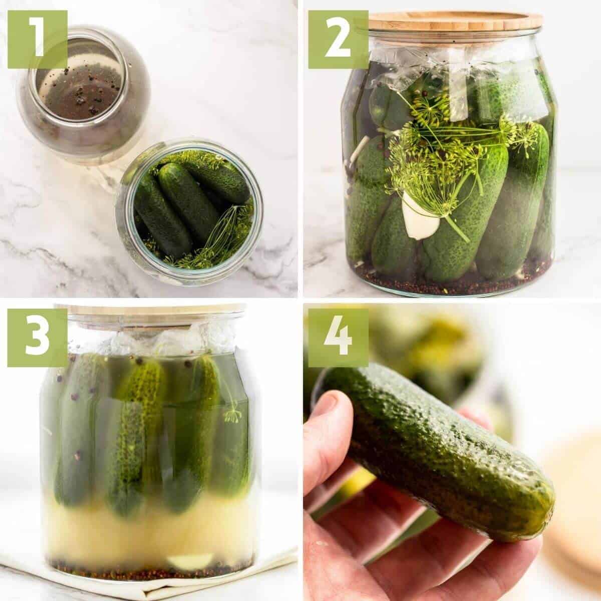 Picture steps of how to make fermented cucumbers.