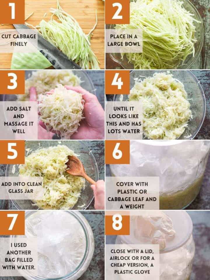 How To Make Lacto Fermented Cabbage Sauerkraut With Pobiotics