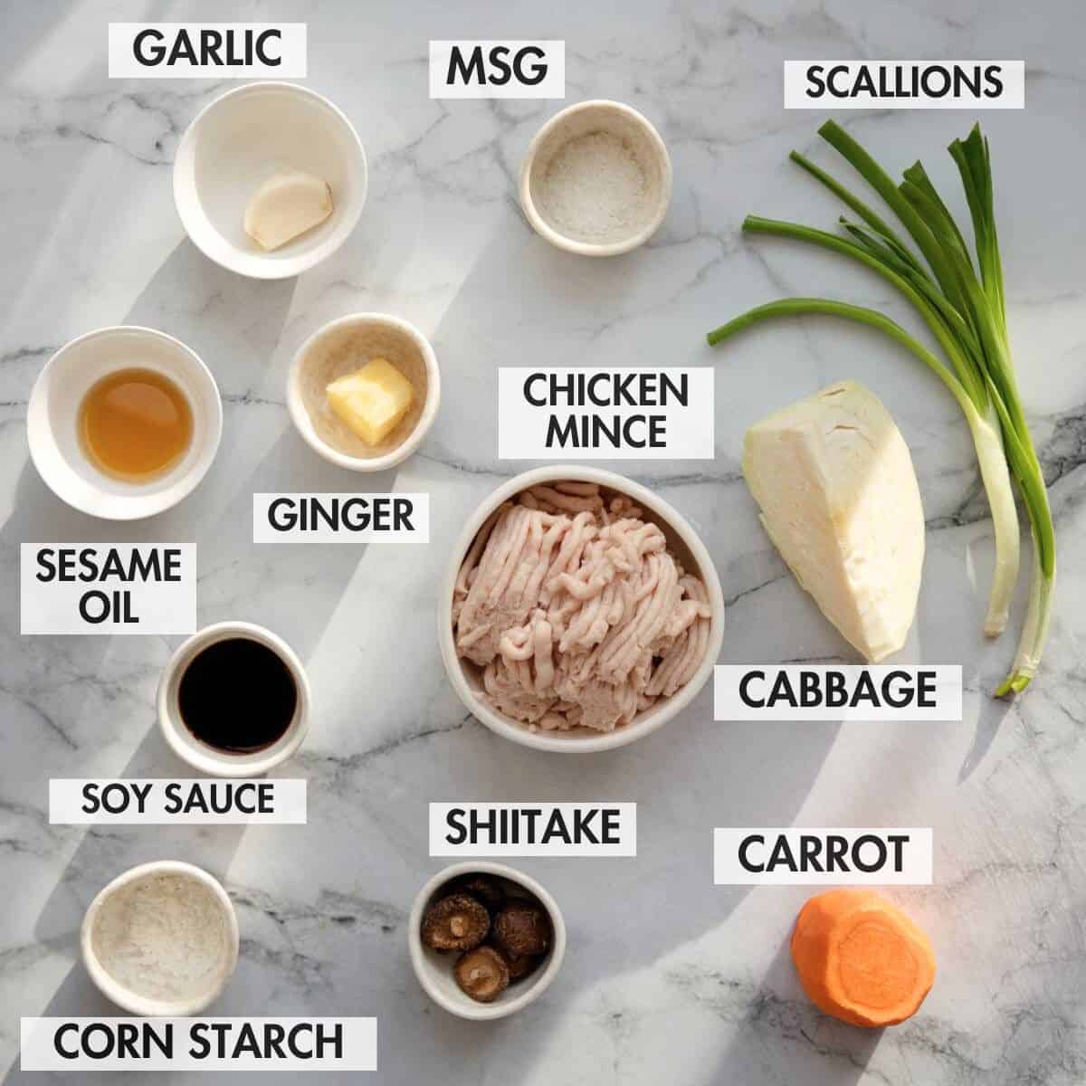 Ingredients for making spring rolls on a marble board.