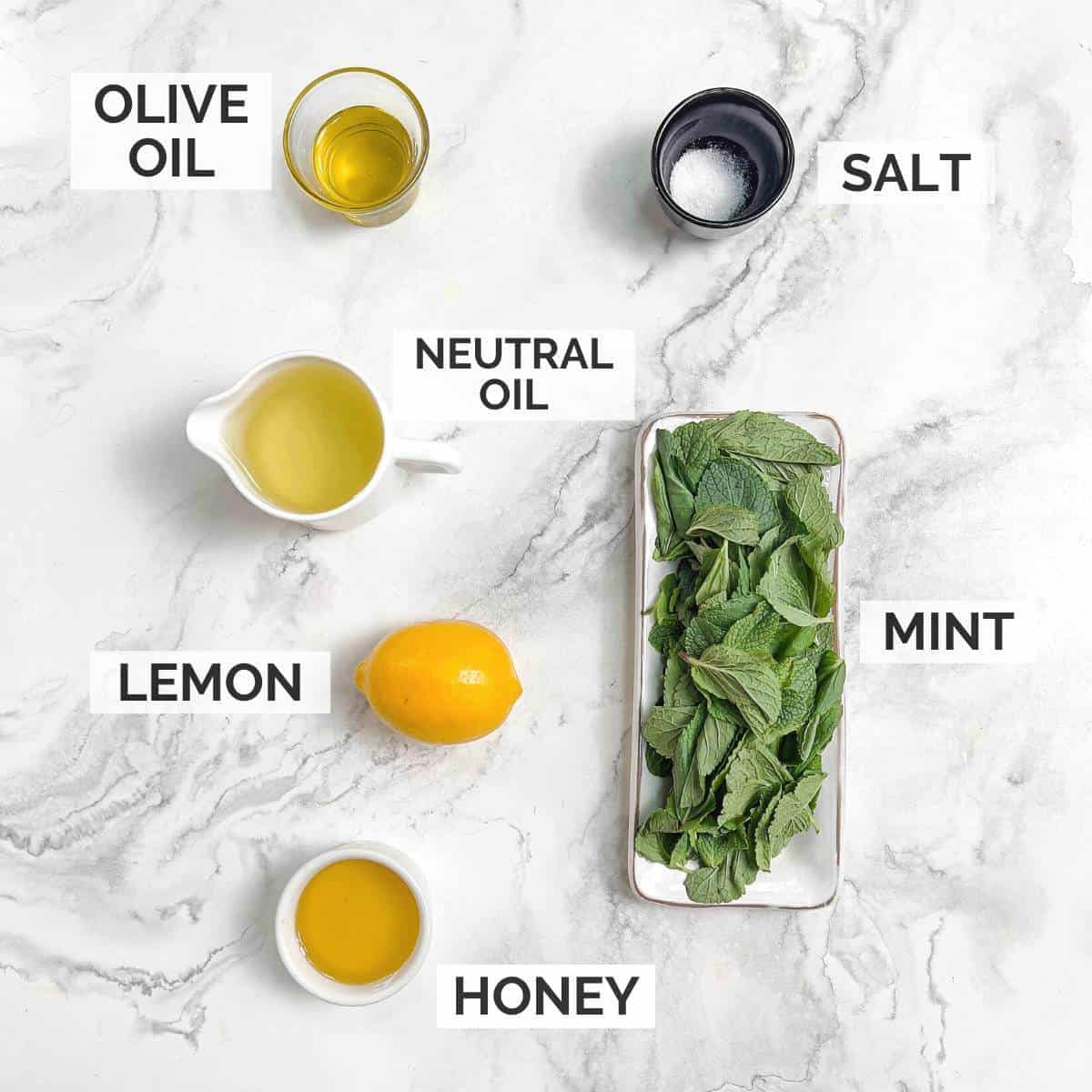 Ingredients for making mint salad dressing.