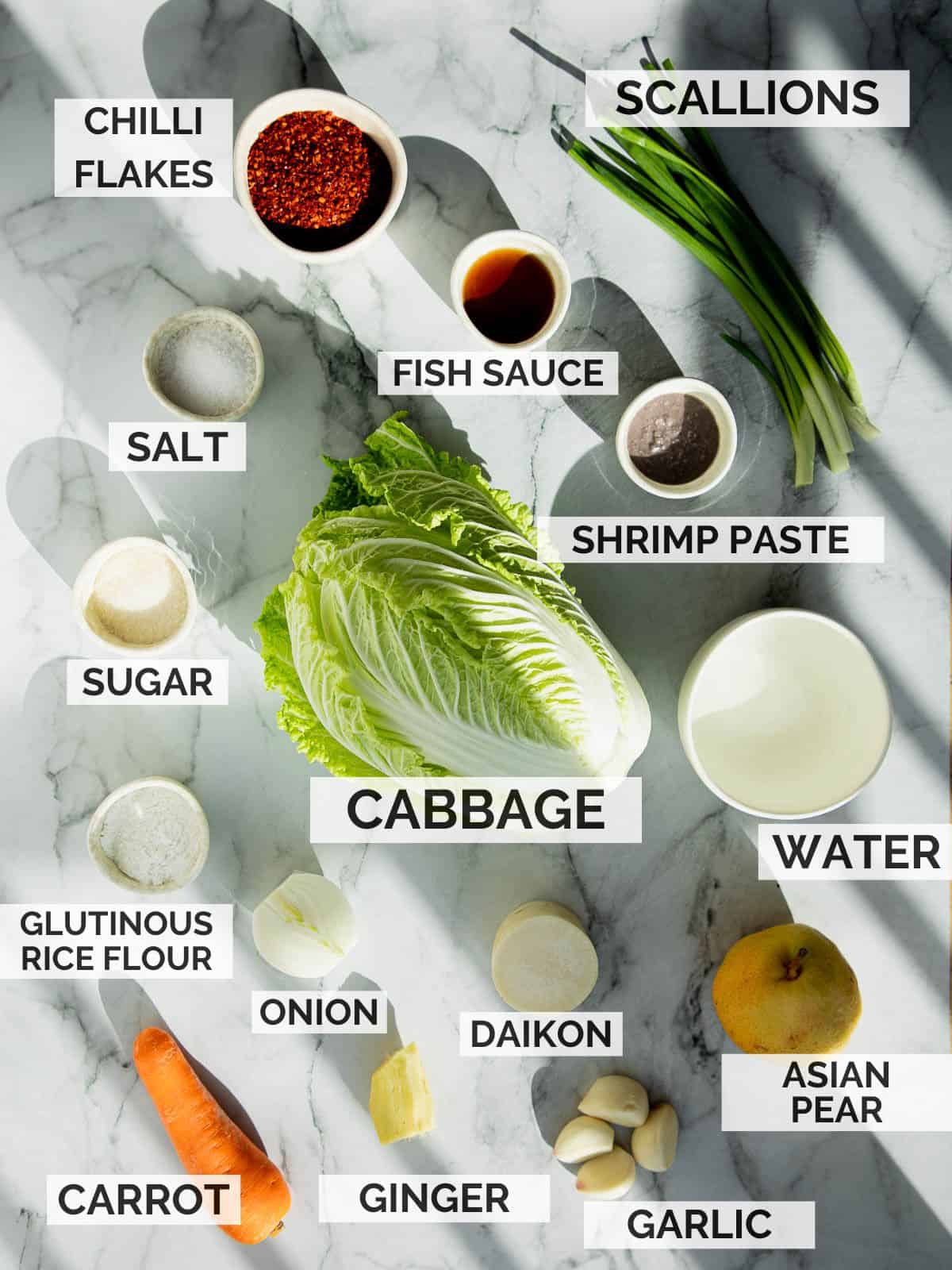 Ingredients for making kimchi on a marble board.