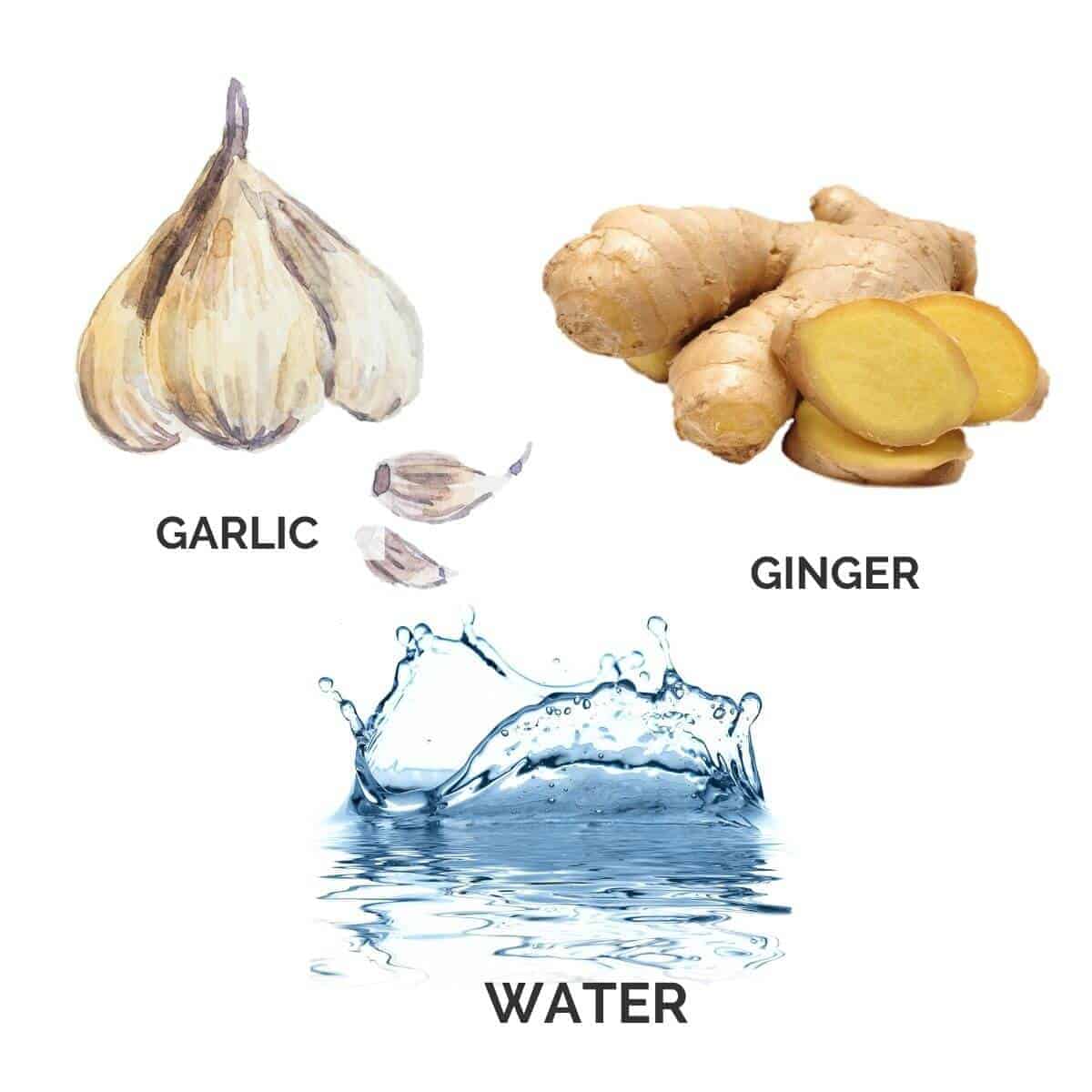 Ingredients for making garlic and ginger paste on a white background.