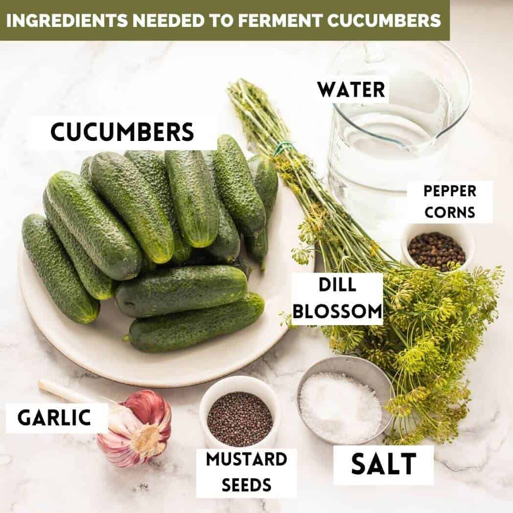 Ingredients needed to make fermented laid out on a marble board.