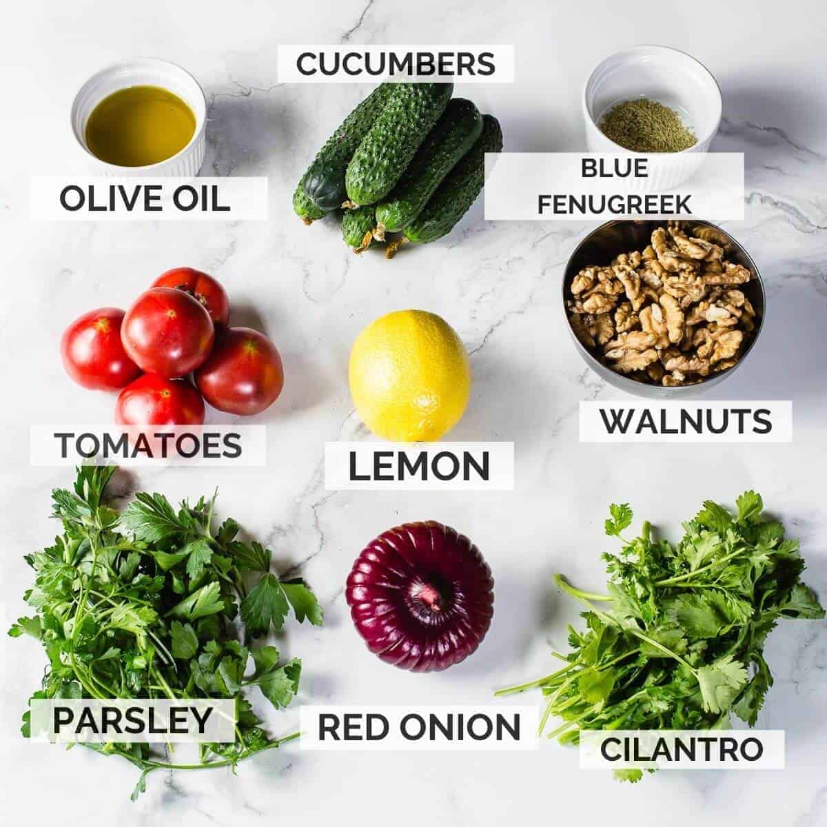 ingredients for georgian salad on marble background.