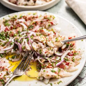 seabass crudo on a white plate with fork