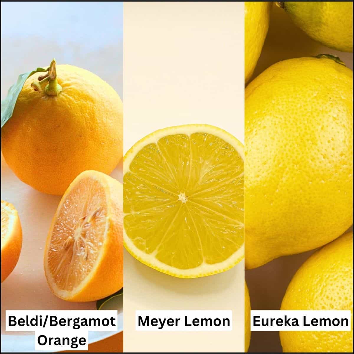 Lemon varieties collage.