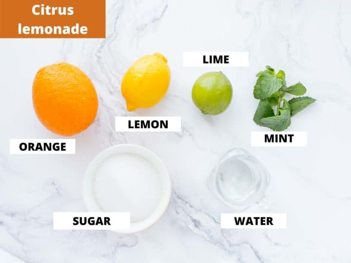 ingredients for making citrus lemonade