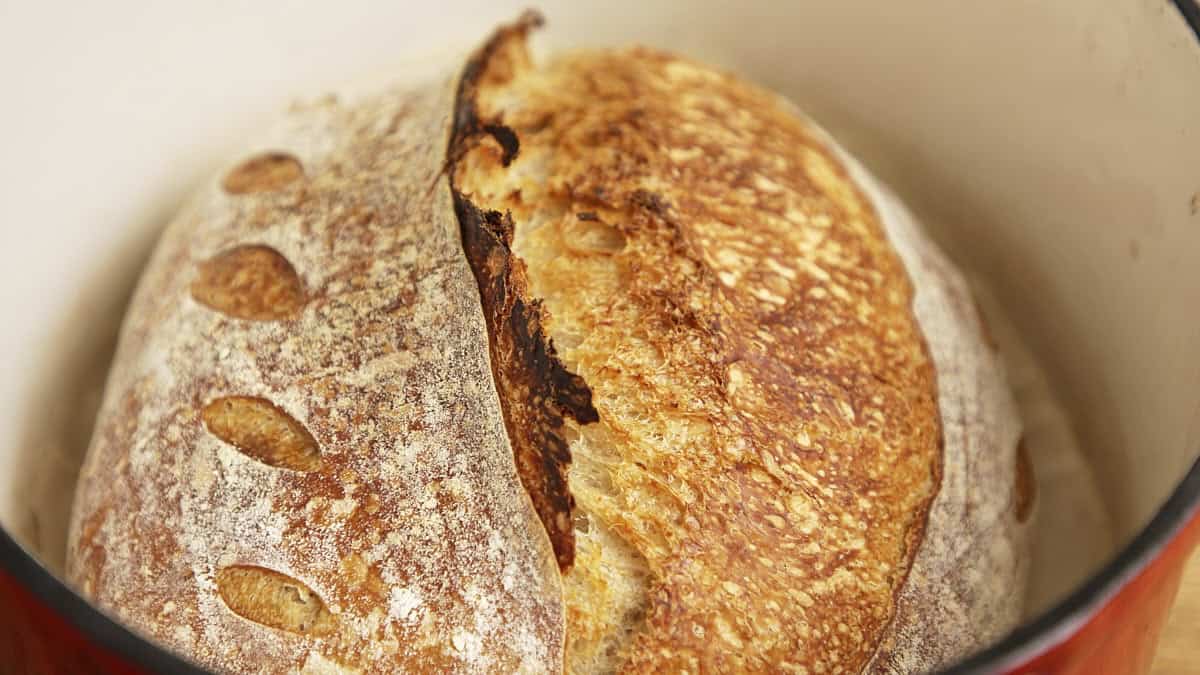 A close-up view of a baked loaf of sourdough bread with a split crust.