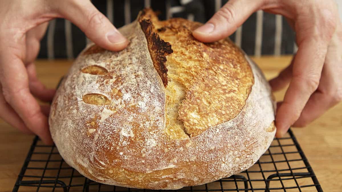Hands hold a baked loaf of sourdough bread showing a split crust.