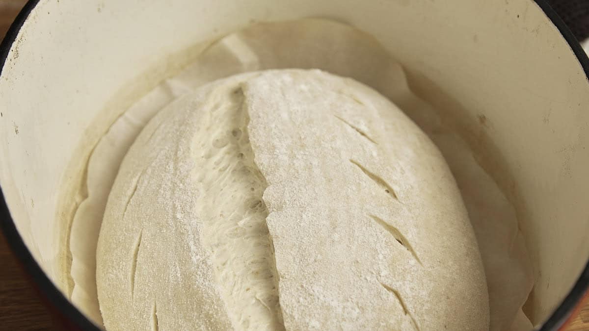 Scored unbaked sourdough loaf in a dutch oven.