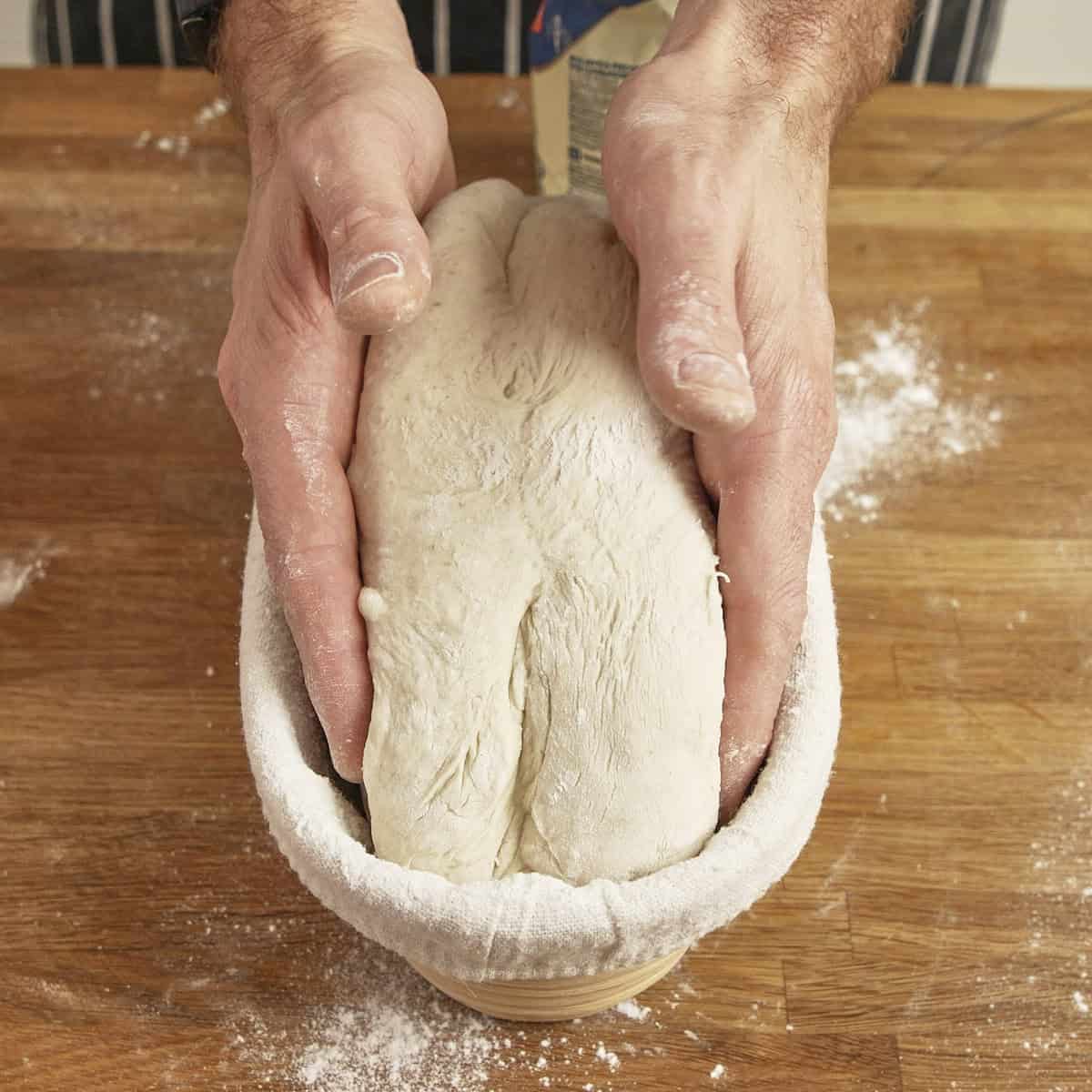 Placing shaped loaf ito proving basket.
