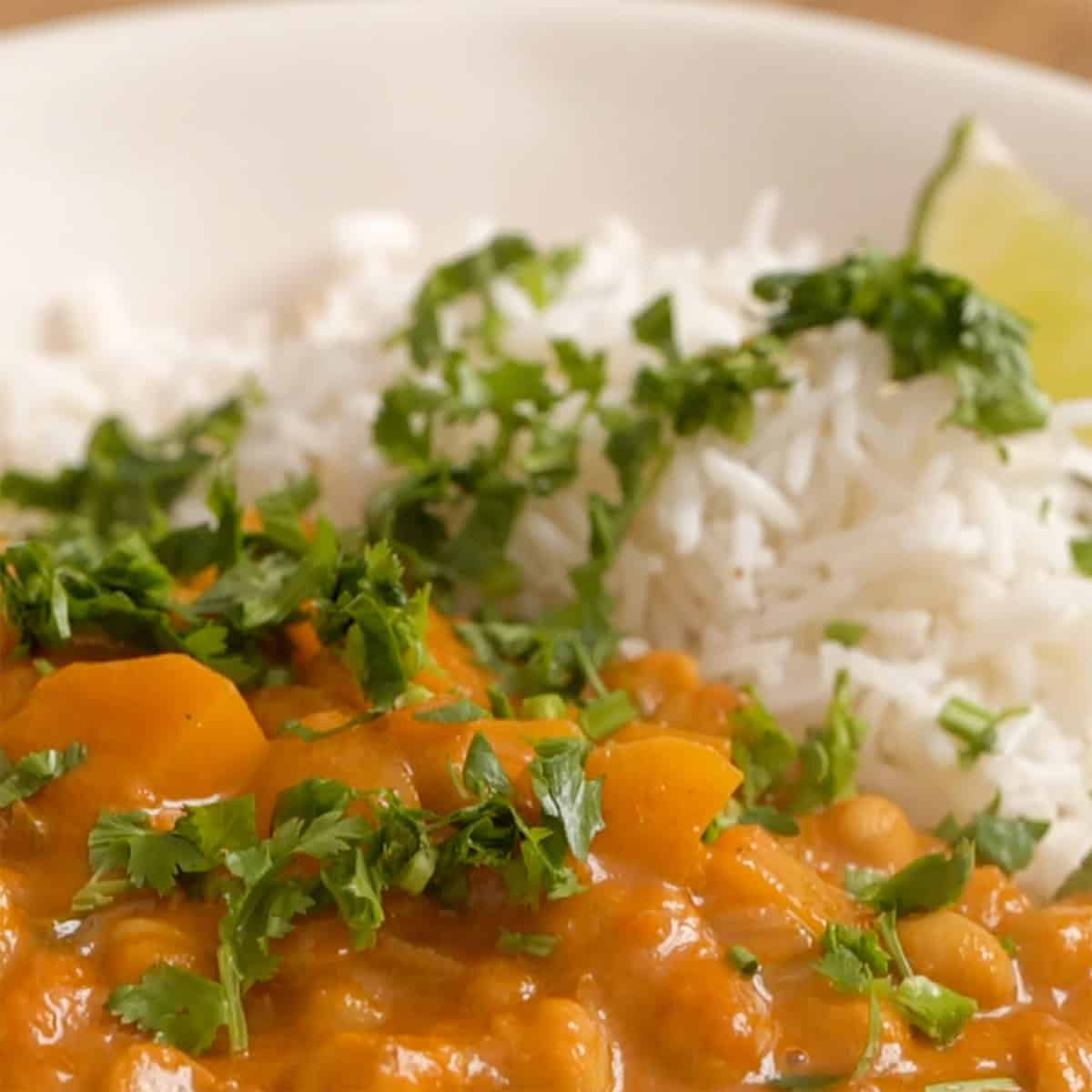 Serving curry on a white plate with rice, cilantro and a lime wedge.