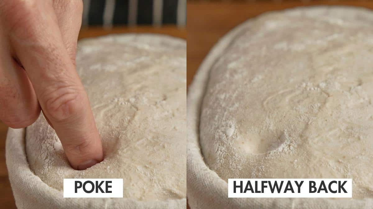 Performing a poke test with finger indentation on proven sourdough.