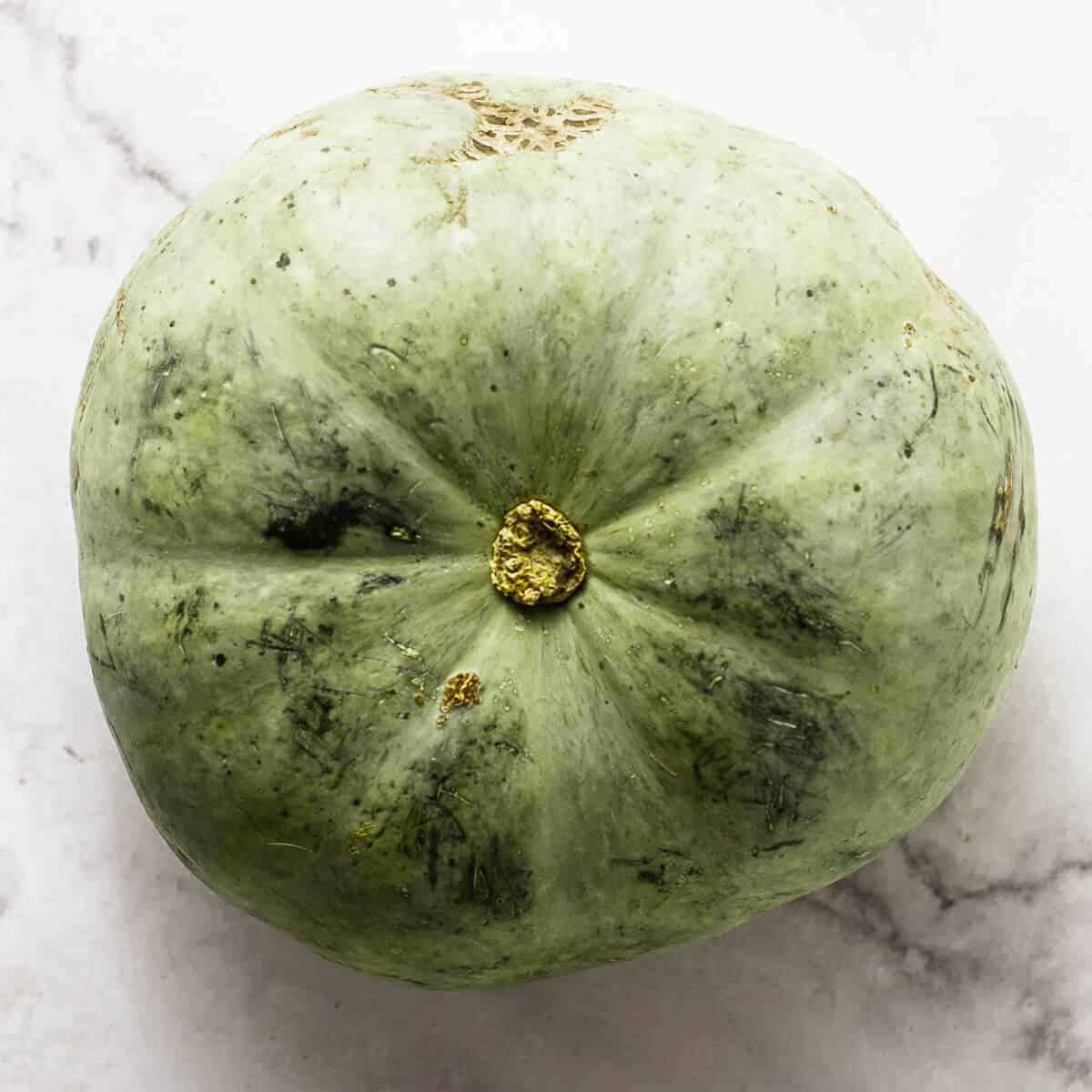 crown prince green pumpkin