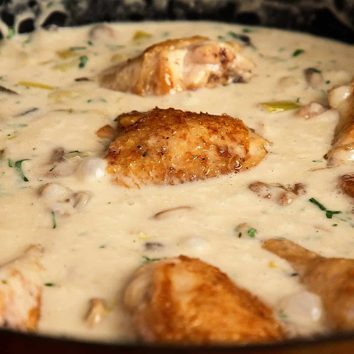 Reheating chicken in cream sauce.