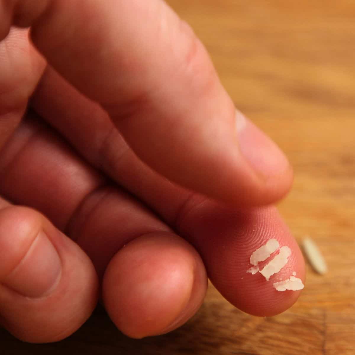Semi cooked rice grain crushed between fingers.