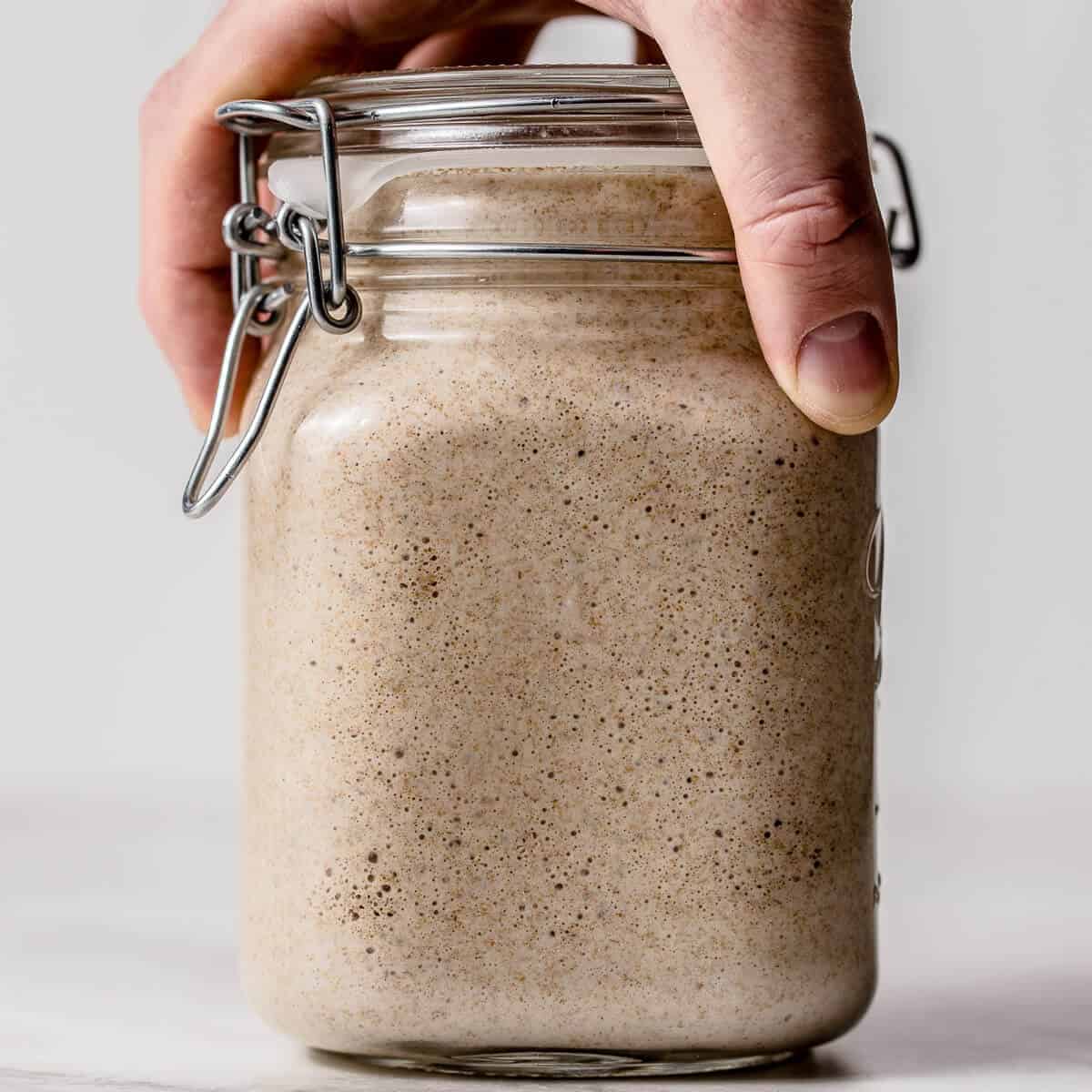 thumbnail image 2 of Mom's Heirloom Organic Dark Rye Sourdough Starter – Family Heirloom, Alive & Active (USDA Organic) 2 of 5