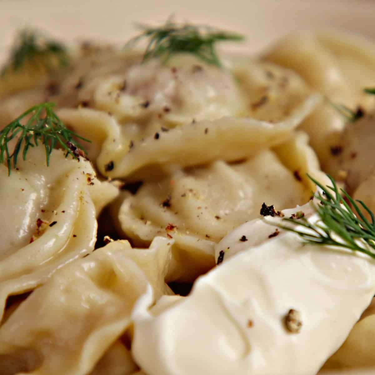Serving pelmeni with sour cream and dill.