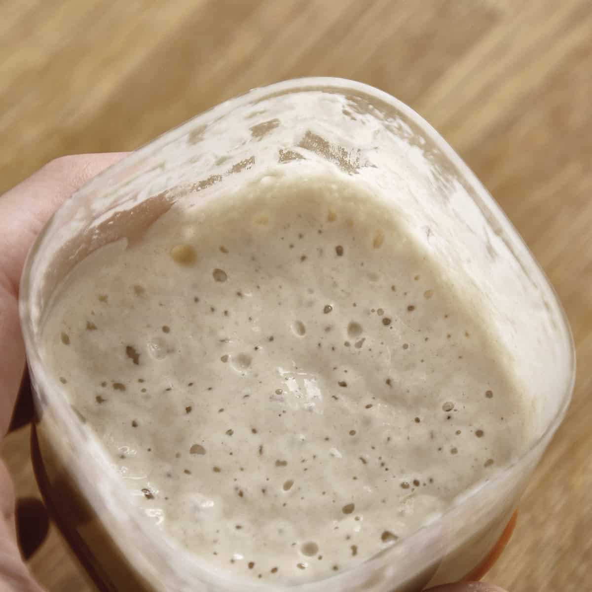 A close-up view of bubbly sourdough starter inside a clear container.