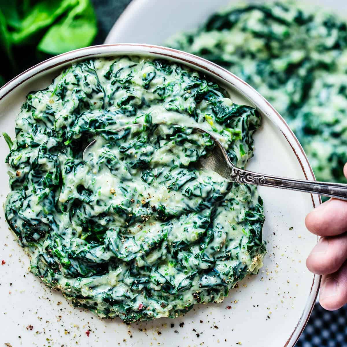 creamed spinach on a white plate.