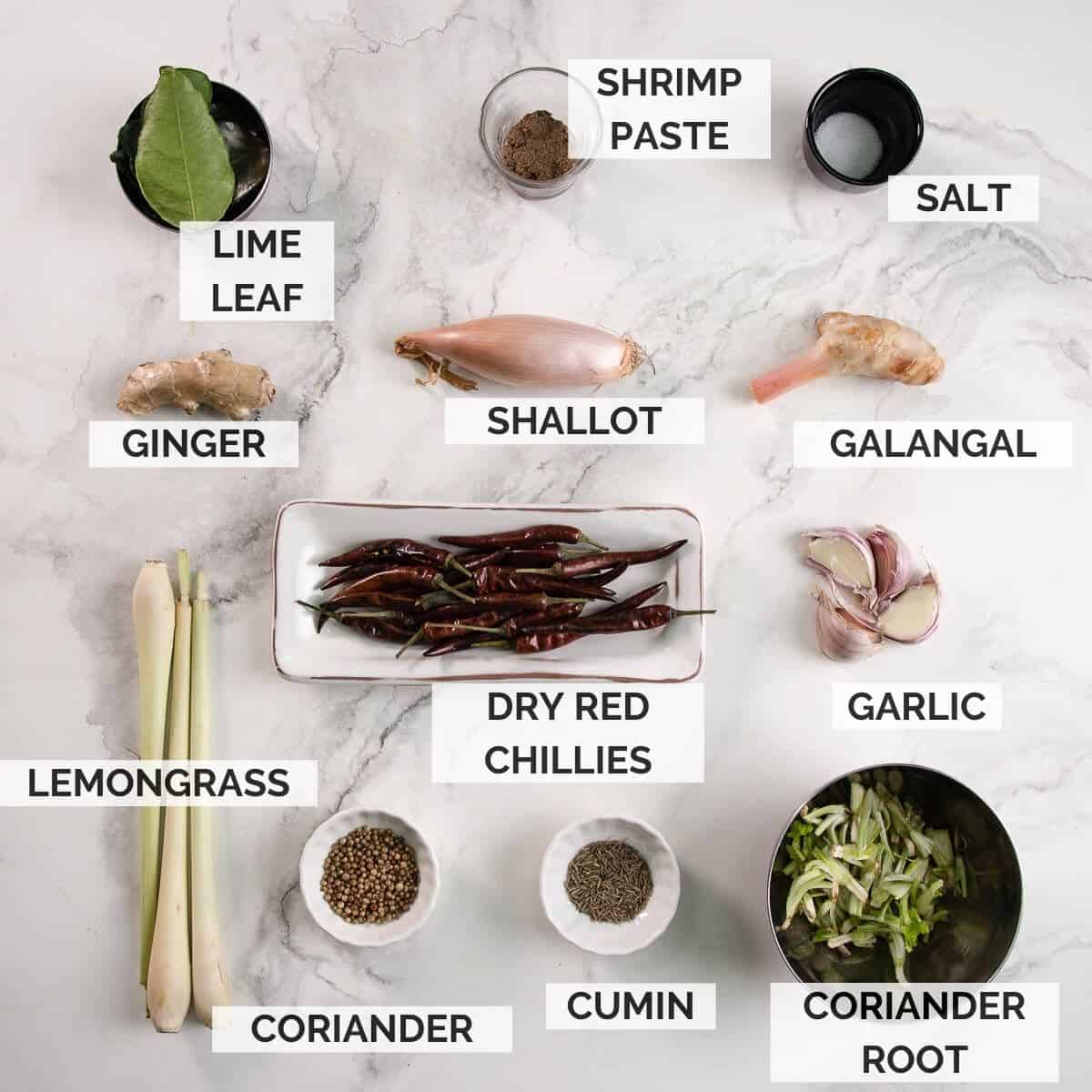 Ingredients for making Thai red curry paste on marble background.