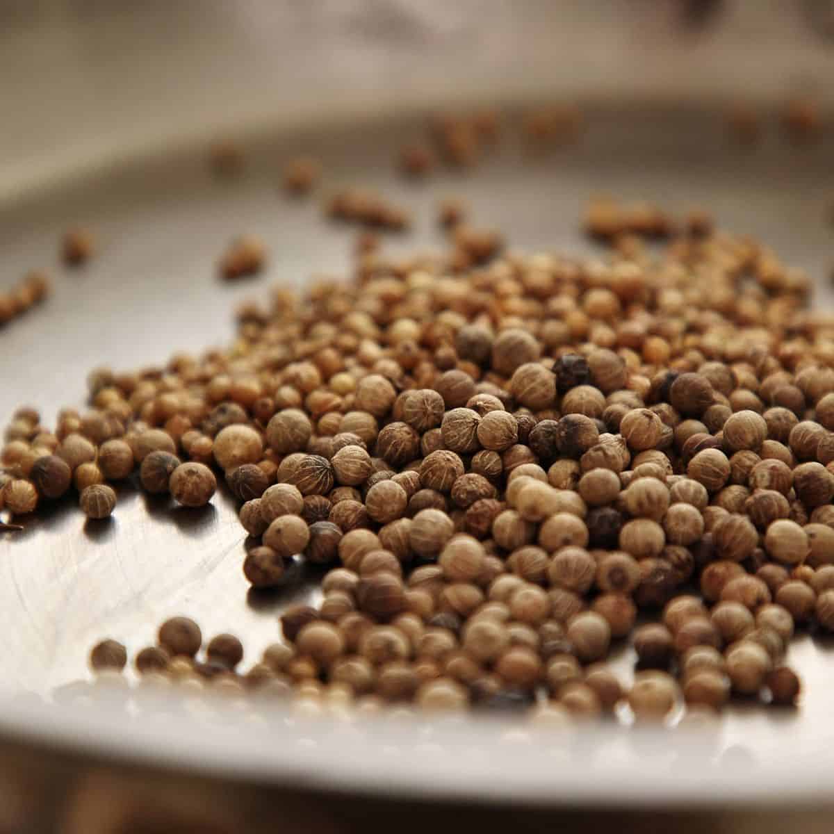 Whole black peppercorns and coriander seeds toasting in dry stainless steel pan on stovetop